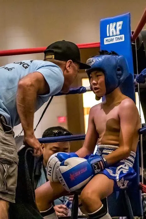 Bars Boxing Picture 3