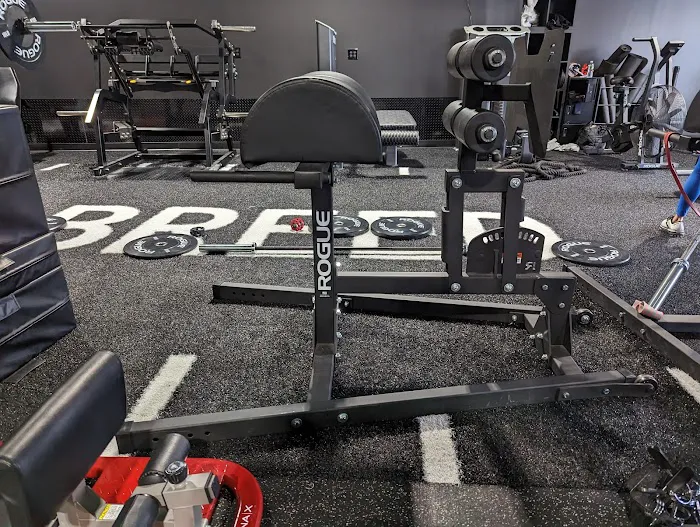 Rare Breed Fitness Picture 5
