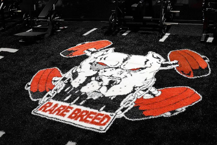 Rare Breed Fitness Picture 10