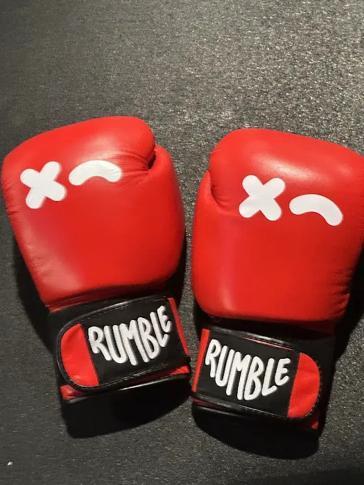 Rumble Boxing Picture 9