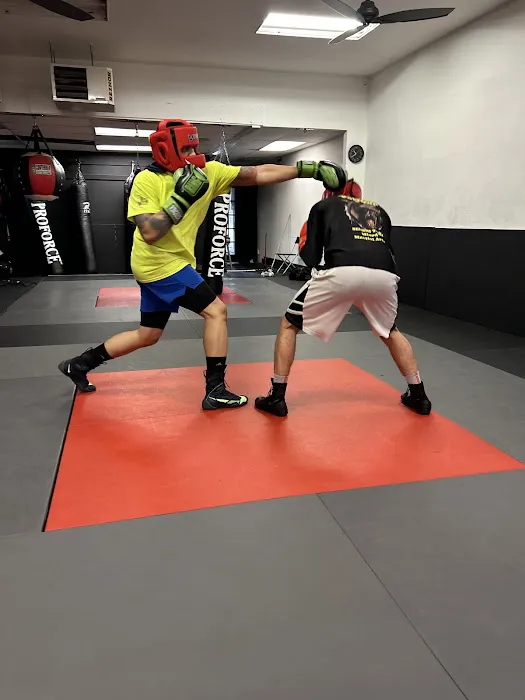 Bayonne Boxing Picture 2