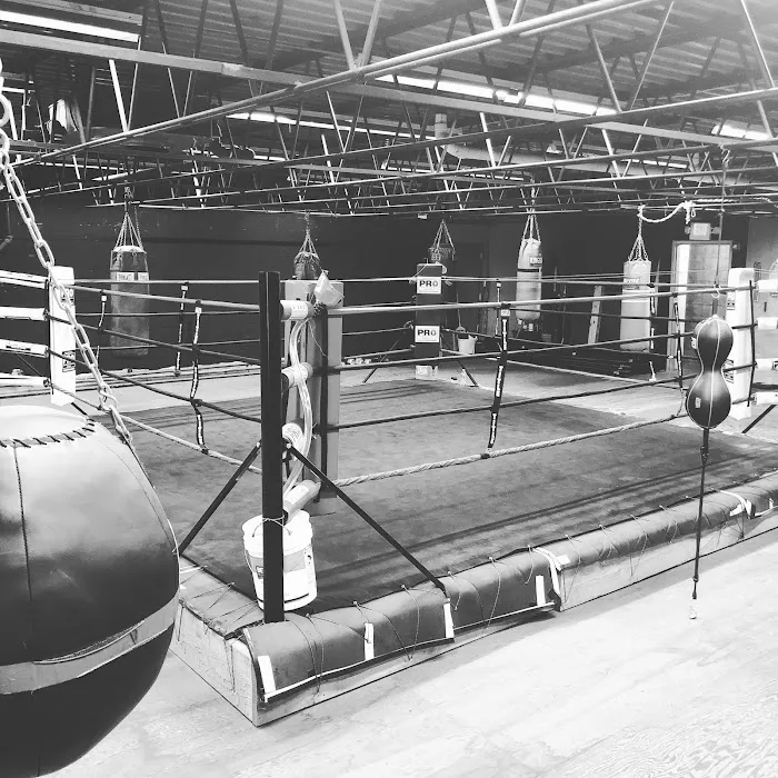 KO Contender Boxing Club / Kids boxing and fitness Picture 4