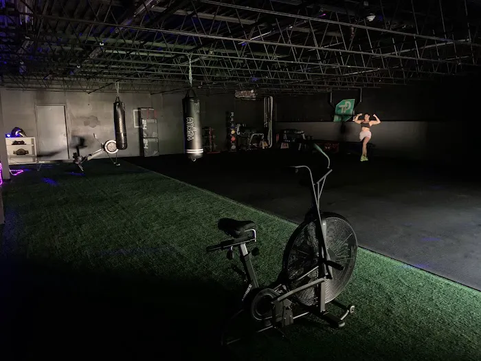 Iron Tribe Gym Picture 2
