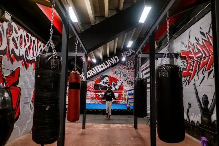 Ironbound Boxing Academy Picture 3