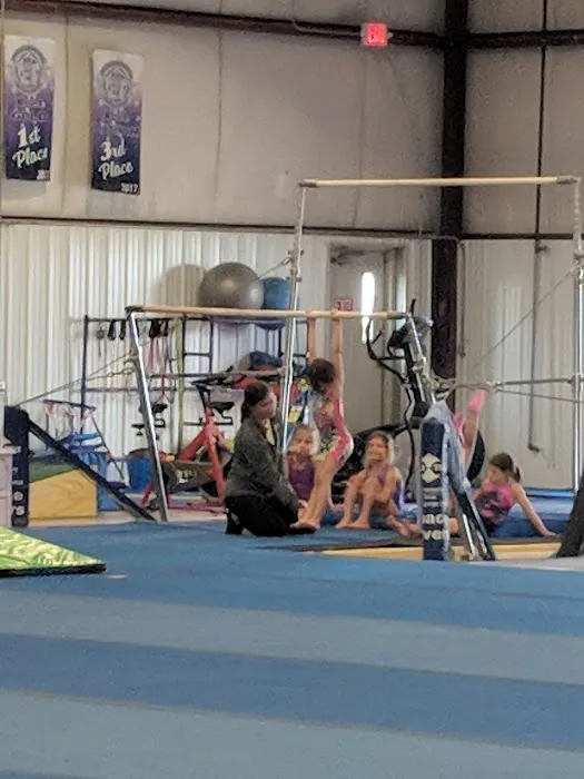 North Mountain Gymnastics Picture 6