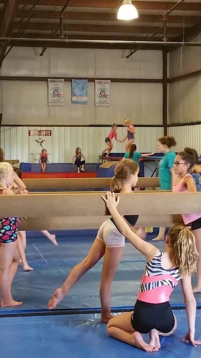 North Mountain Gymnastics Picture 5