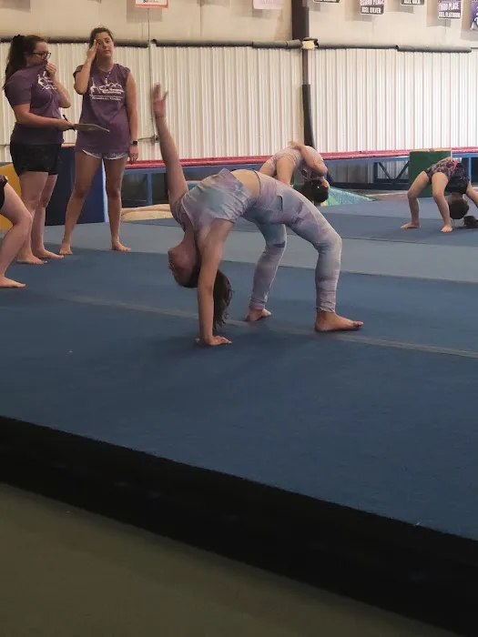 North Mountain Gymnastics Picture 8