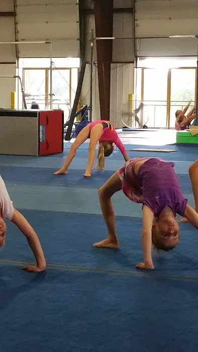 North Mountain Gymnastics Picture 4