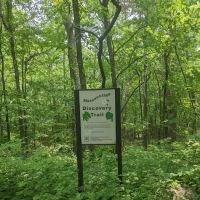 Massanutten Discovery Trail ico