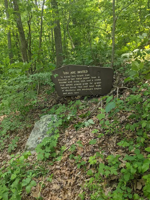 Massanutten Discovery Trail Picture 2