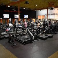 Fitness Evolution ico