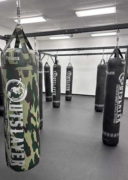 Apex Boxing Picture 4