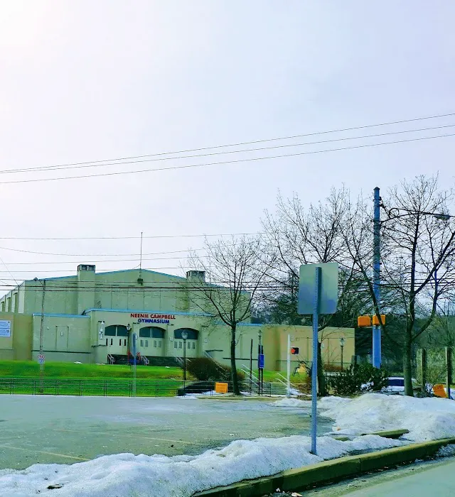 Neenie Campbell Gymnasium Picture 1