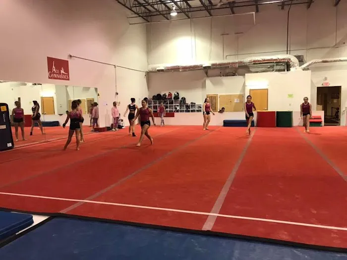Ace Gymnastics Picture 5