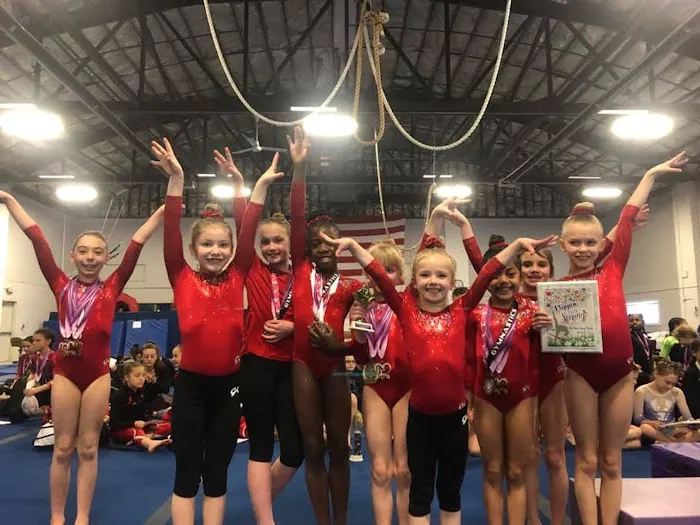 Ace Gymnastics Picture 2