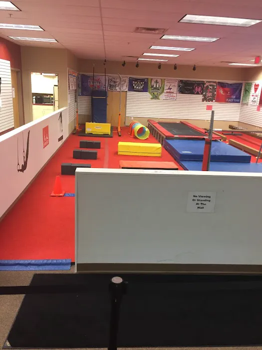 Ace Gymnastics Picture 3