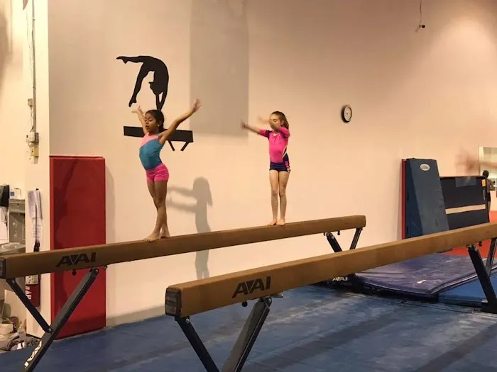Ace Gymnastics Picture 1