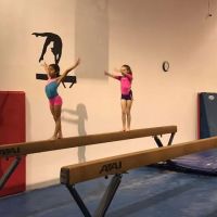 Ace Gymnastics ico
