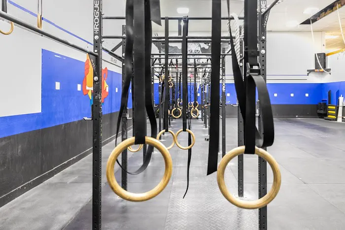 Albany CrossFit Picture 7