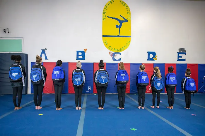 Northeast Institute Of Gymnastics Inc Picture 5