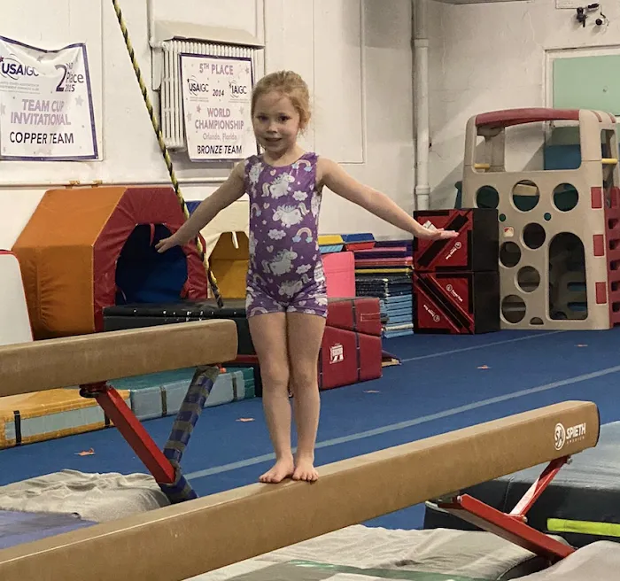 Northeast Institute Of Gymnastics Inc Picture 10