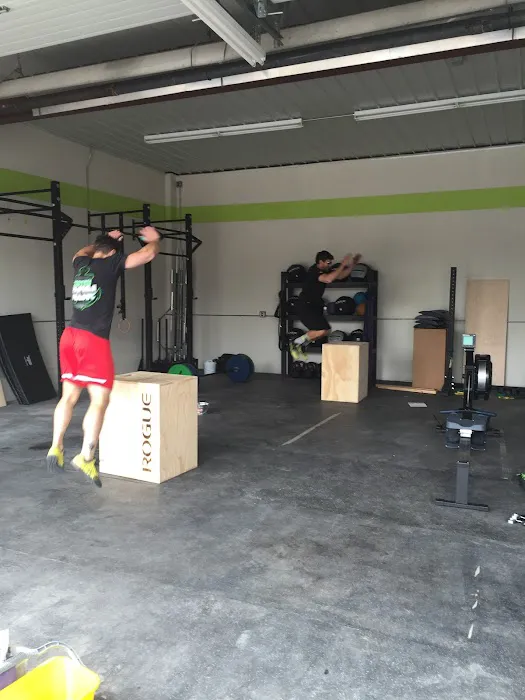 Prime Movement and Performance Picture 1