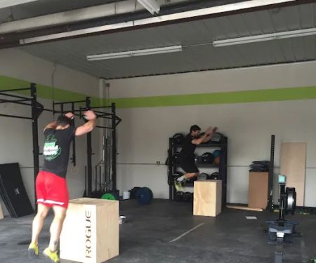 Prime Movement and Performance