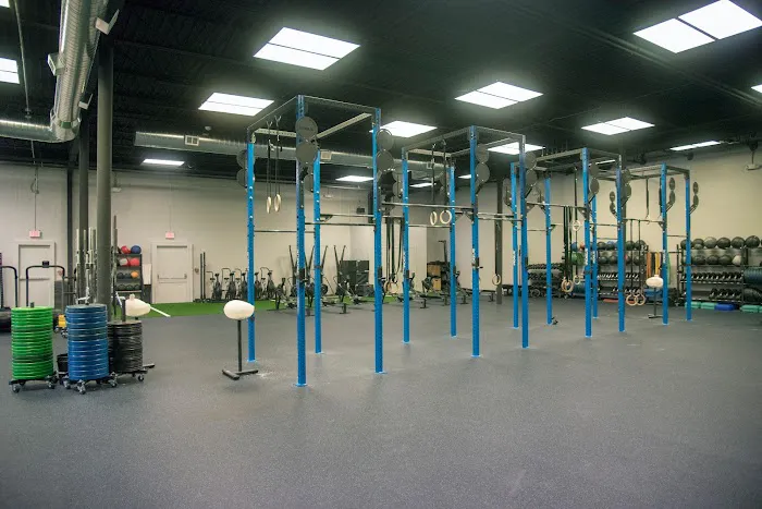 Prime Movement and Performance Picture 5