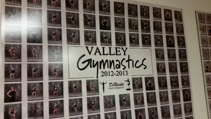 Valley Gymnastics Picture 6