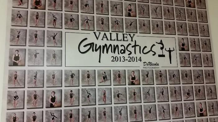 Valley Gymnastics Picture 10