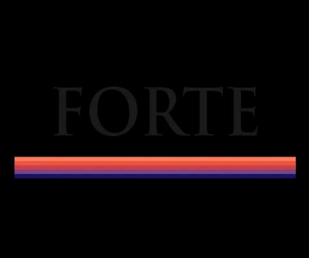 FORTE Strength and Fitness