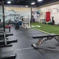 All-American Fitness ico