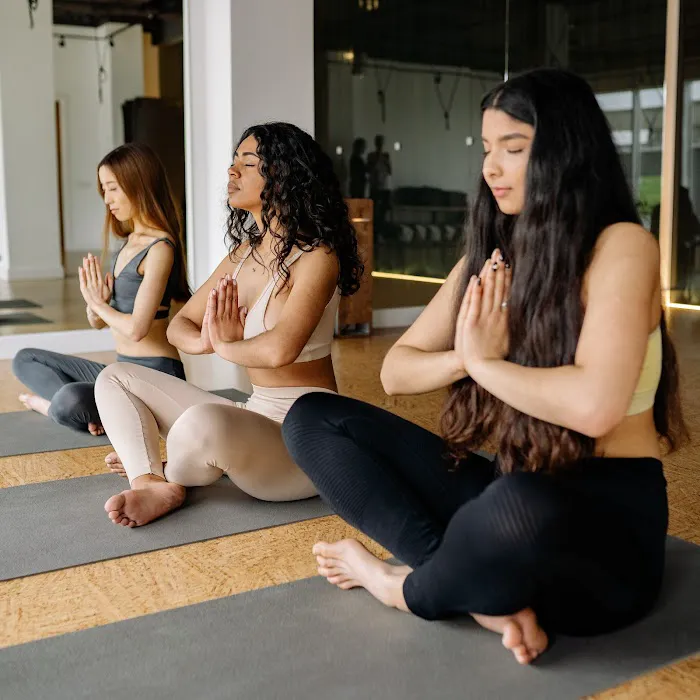 Nama Let It Go Aerial Arts & Yoga Studio Picture 7