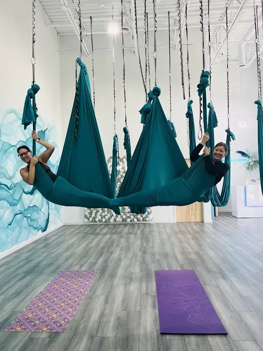 Nama Let It Go Aerial Arts & Yoga Studio Picture 6