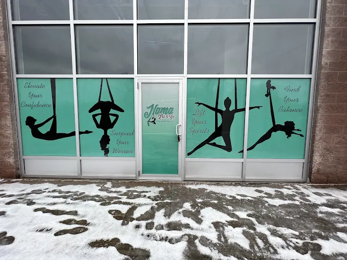 Nama Let It Go Aerial Arts & Yoga Studio Picture 9