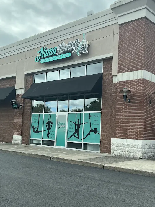 Nama Let It Go Aerial Arts & Yoga Studio Picture 5