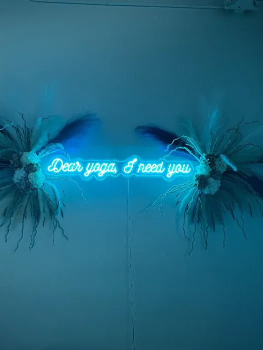 Nama Let It Go Aerial Arts & Yoga Studio Picture 4