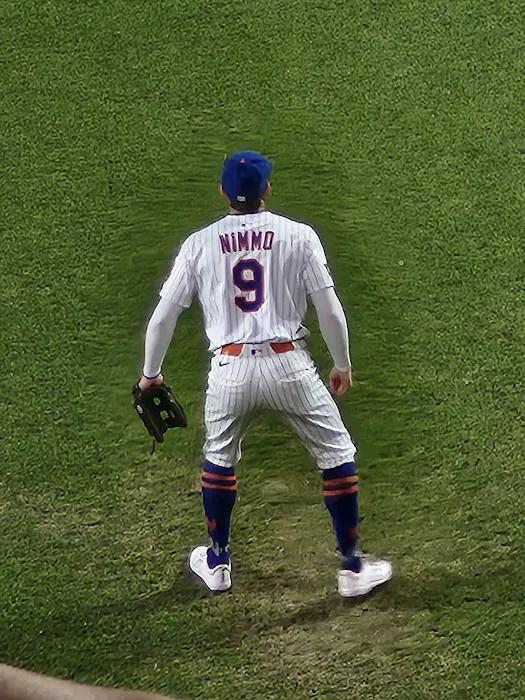 Citi field Picture 1