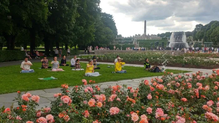 Falun Dafa Albany Meditation Picture 1