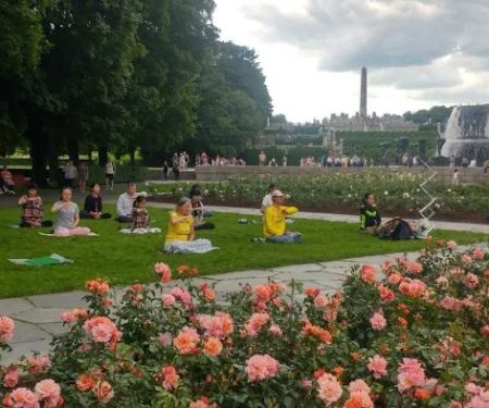 Falun Dafa Albany Meditation