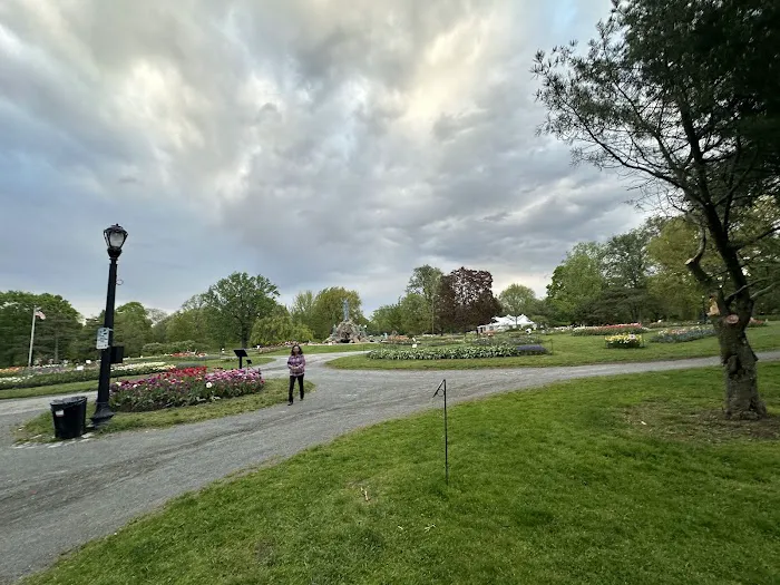 Falun Dafa Albany Meditation Picture 6