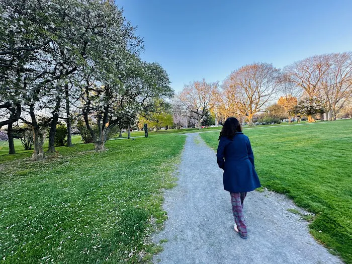 Falun Dafa Albany Meditation Picture 10