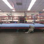 Albany Boxing
