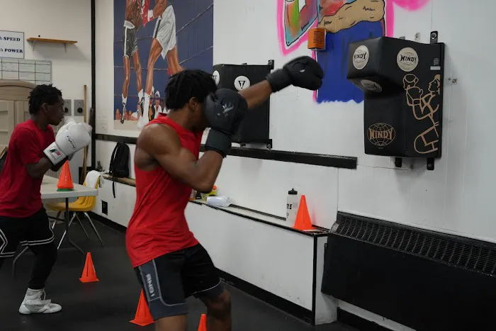 Albany Boxing Picture 5
