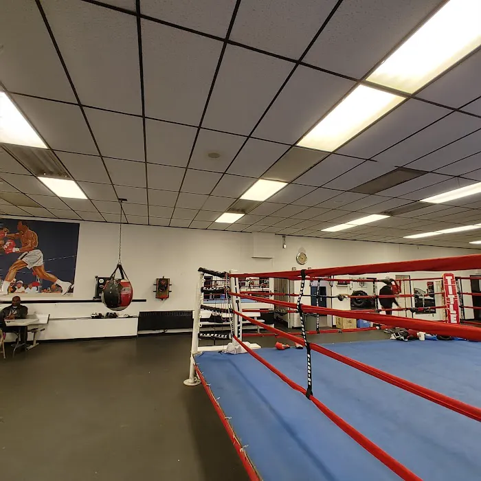 Albany Boxing Picture 4