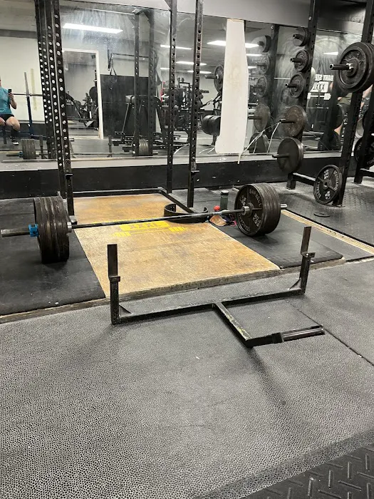 Albany Strength Picture 8