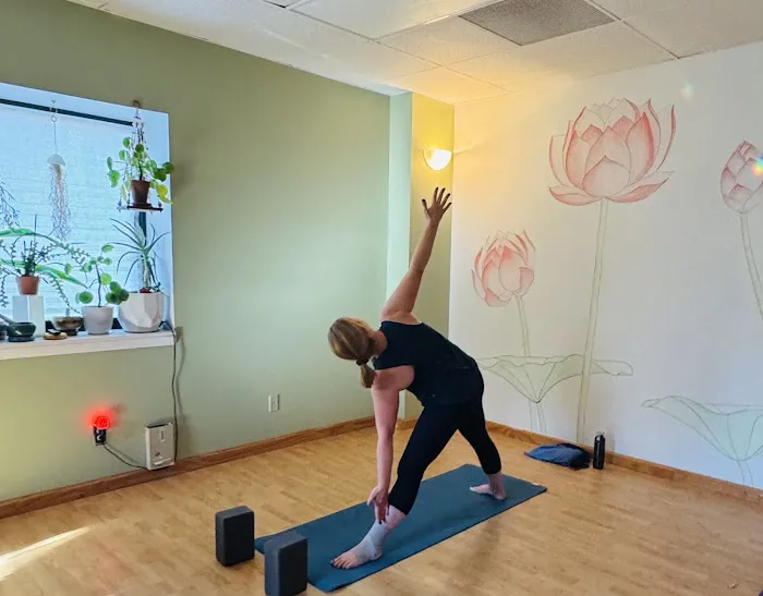 Yoga Shala clinton Picture 1
