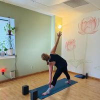 Yoga Shala clinton ico