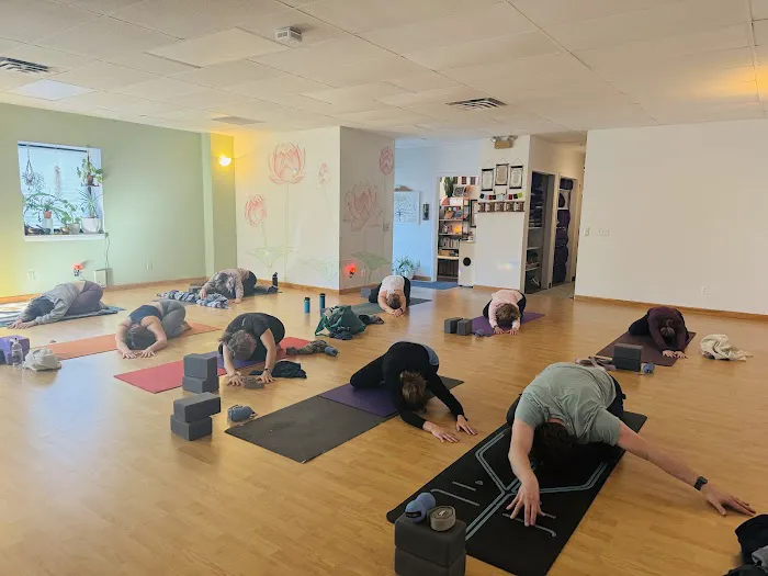 Yoga Shala clinton Picture 3