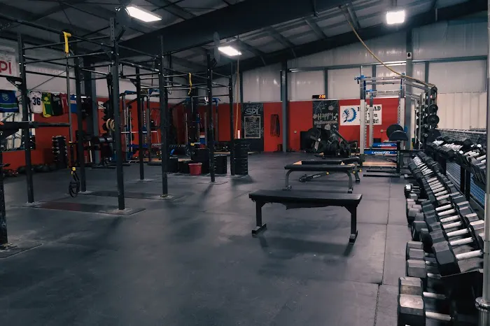SPI Fitness (Sports Performance Institute) Picture 3